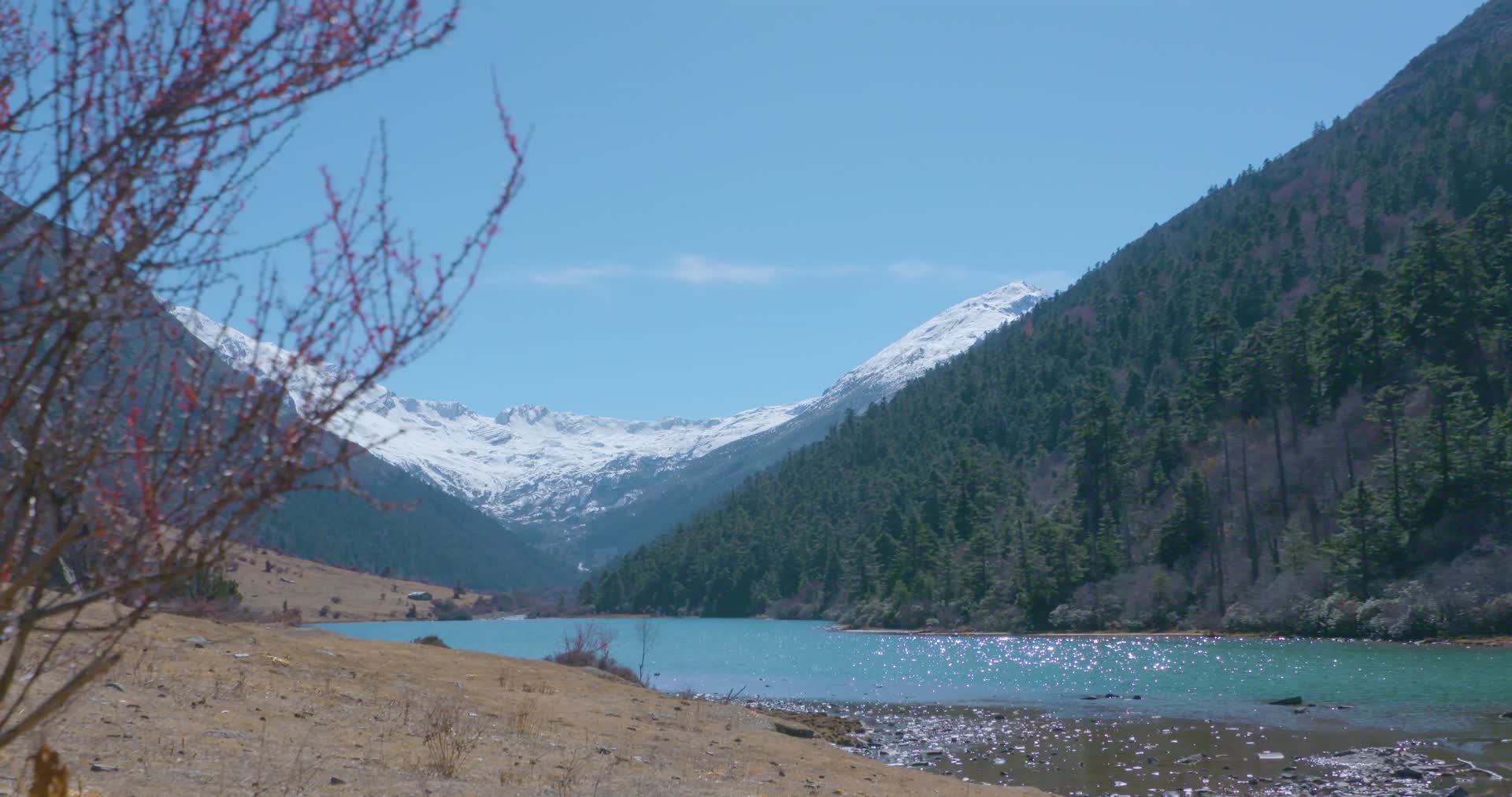 西藏朗县拉多藏湖雪山视频的预览图