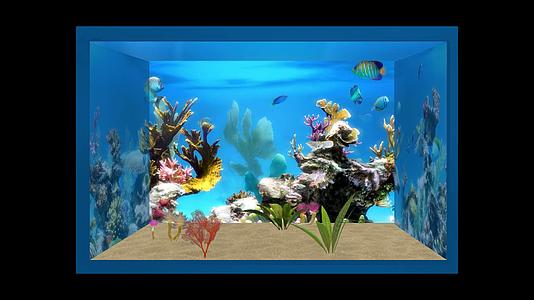 裸眼3D海底世界带通道视频的预览图
