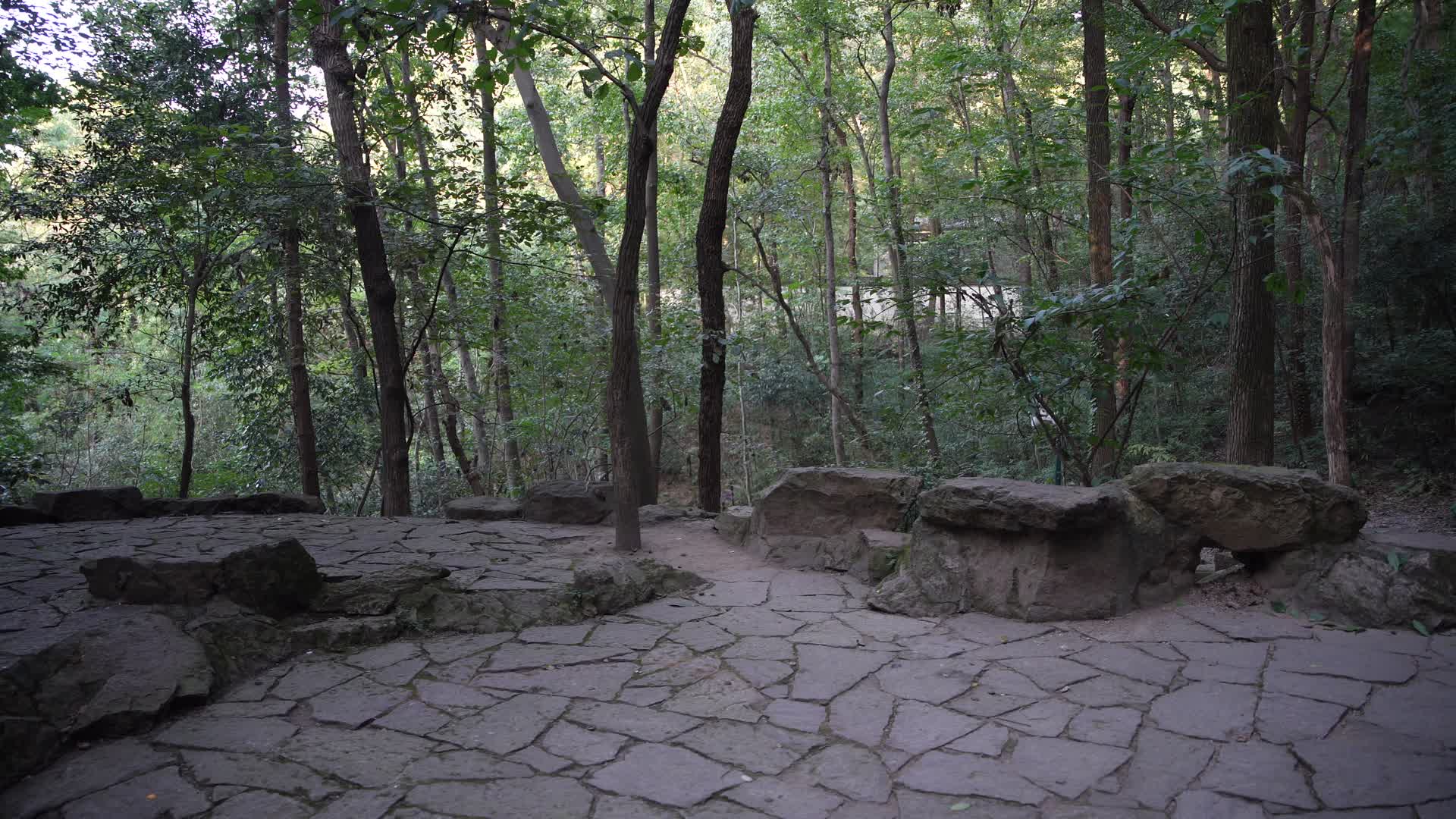 杭州宝石山景区蝙蝠洞4K风景视频视频的预览图