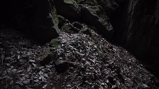 杭州宝石山景区蝙蝠洞4K视频视频的预览图