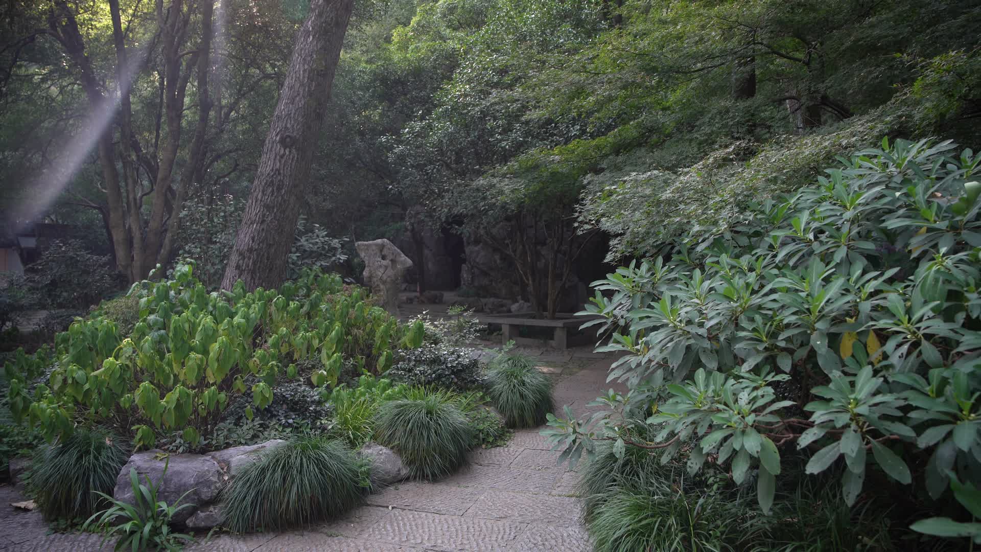 杭州玉皇山景区紫来洞4K风景视频视频的预览图