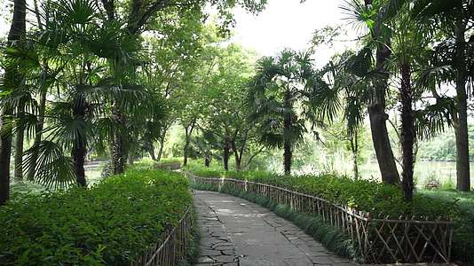 杭州西溪国家湿地公园风景视频视频的预览图