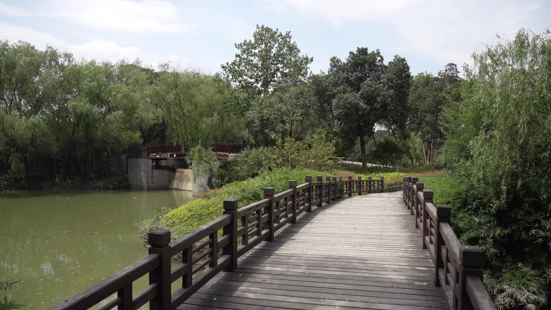 杭州西溪国家湿地公园风景视频视频的预览图