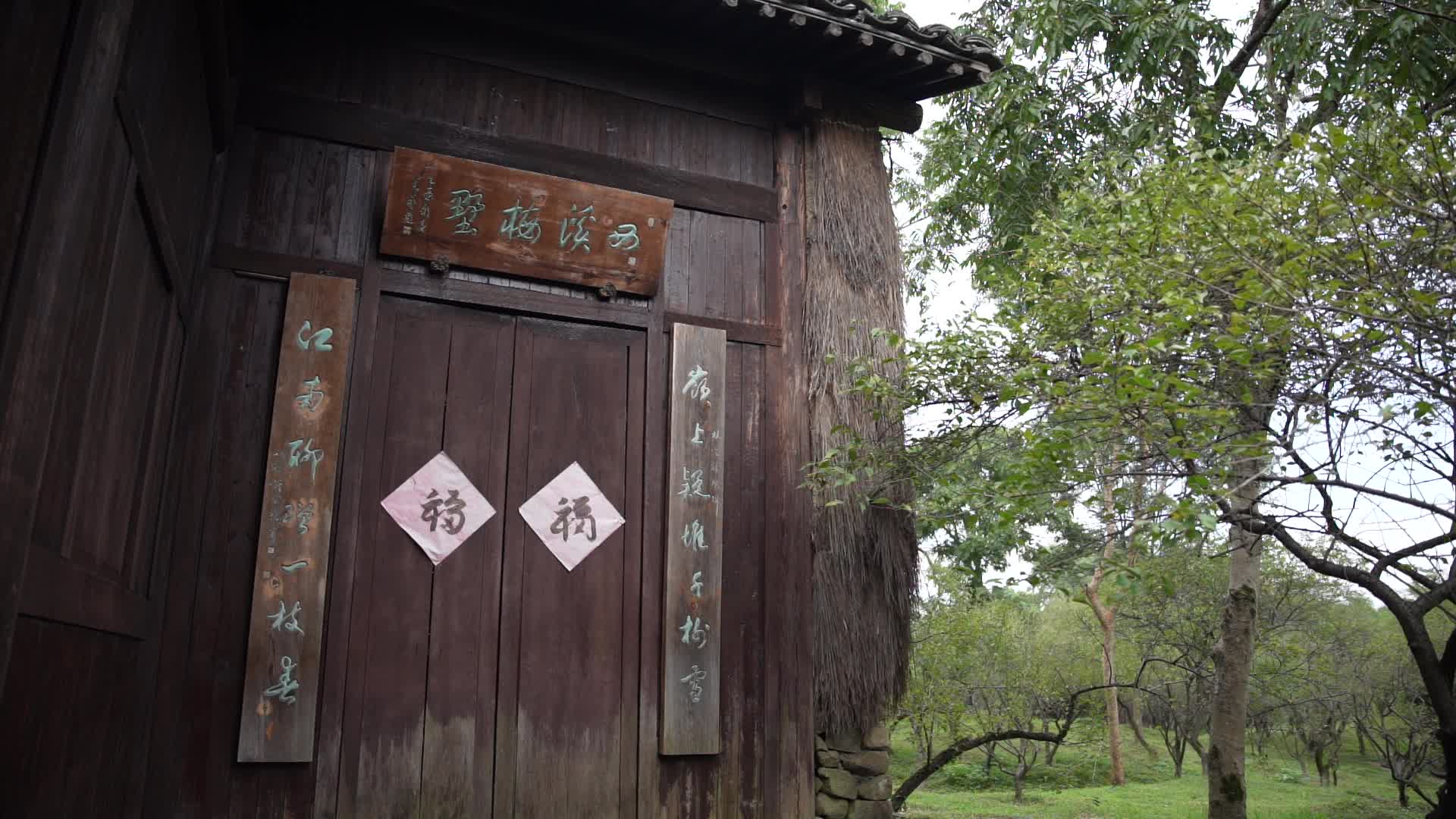 杭州西溪国家湿地公园西溪梅墅风景视频视频的预览图