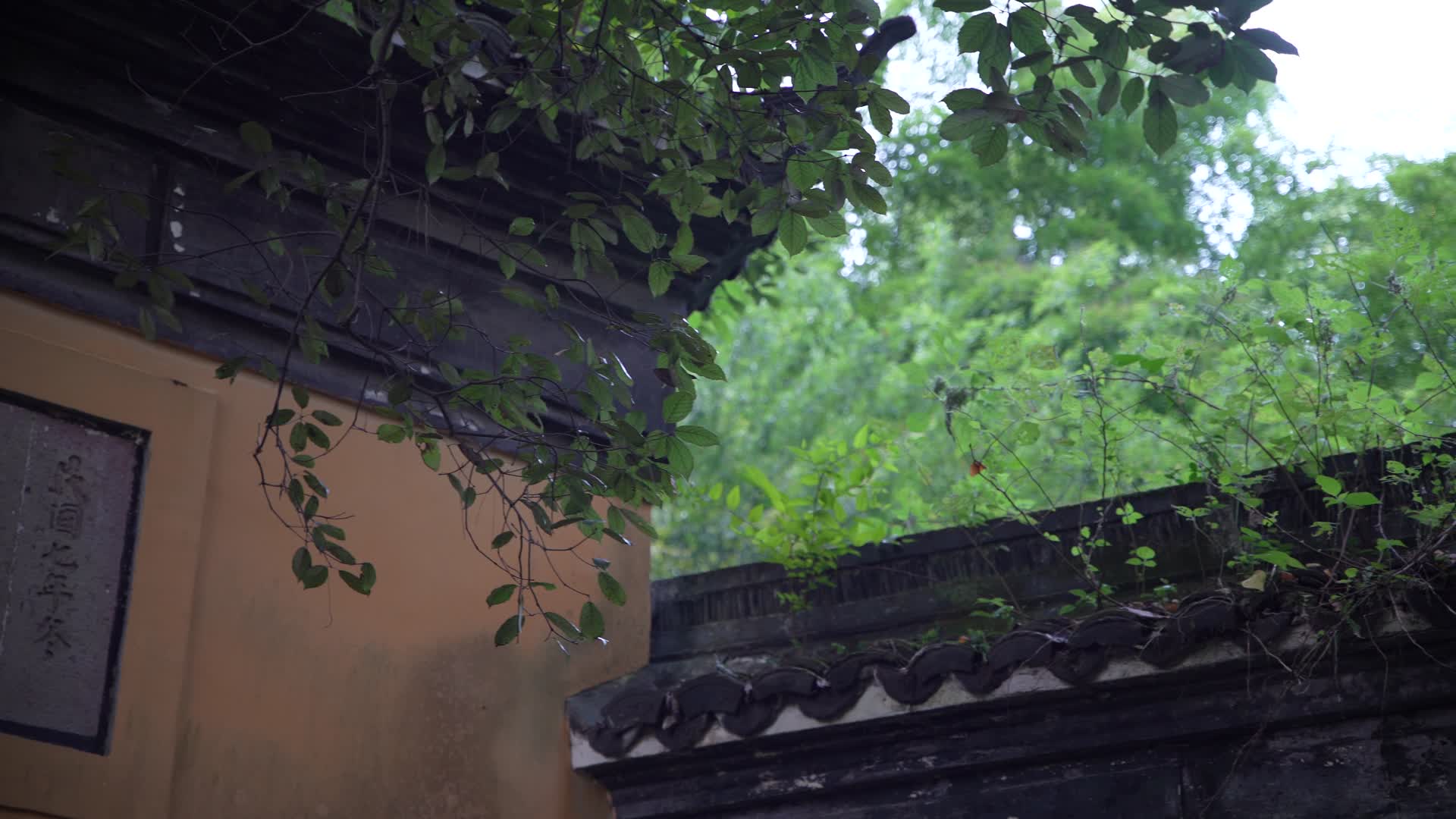 杭州宝石山风景区紫云胜境4K风景视频视频的预览图