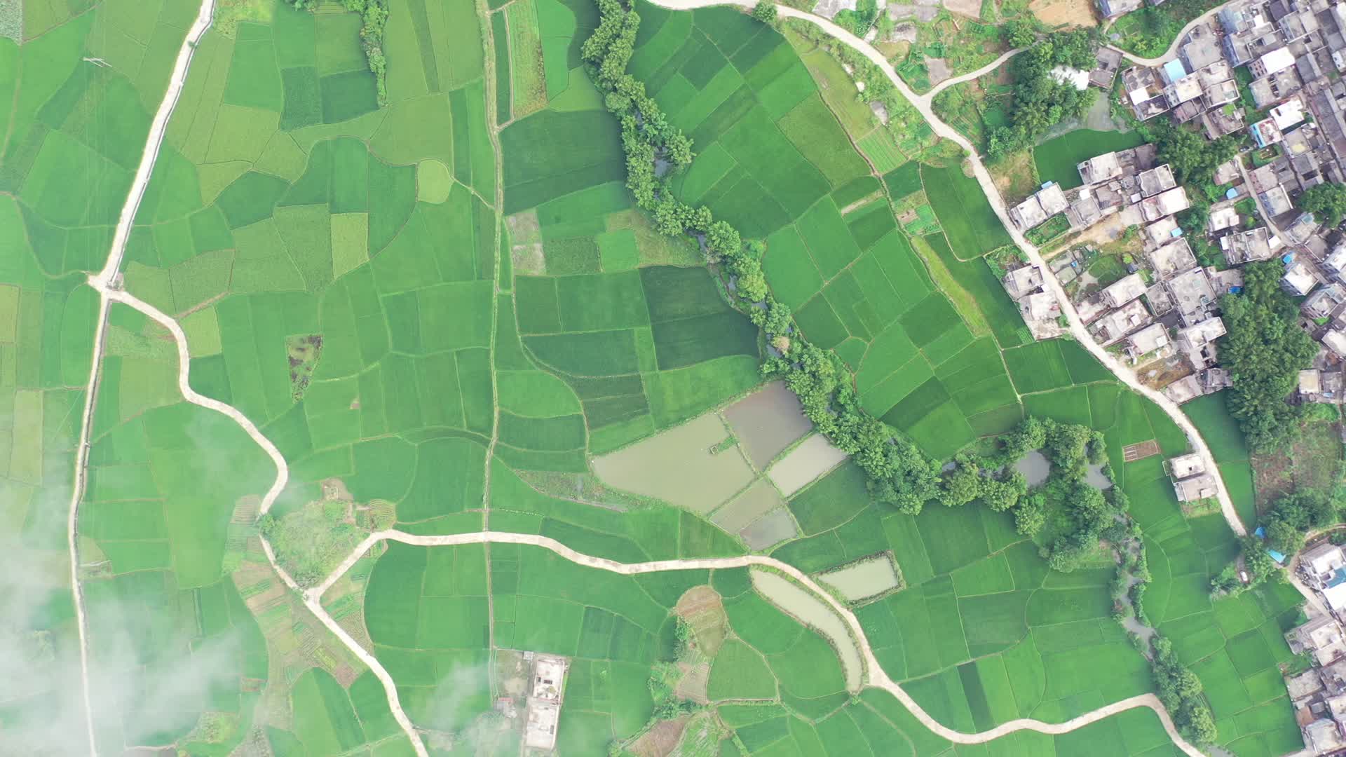 高空航拍广西农村田园田野水稻田视频的预览图
