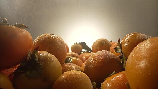 成熟火晶柿子红色挂满枝头镜头合集视频的预览图