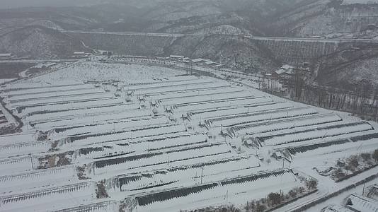 航拍农业大棚雪景视频的预览图