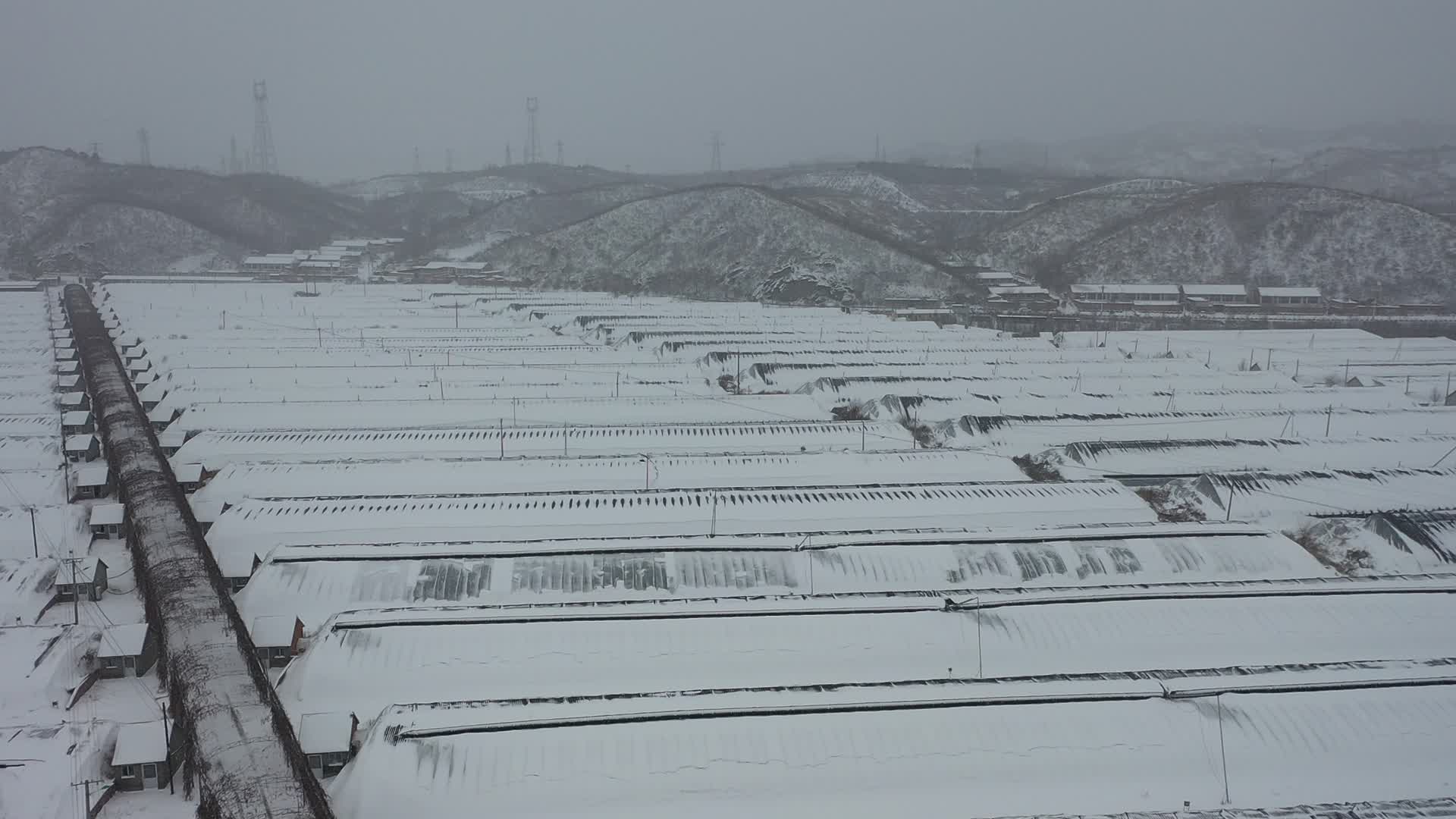 航拍农业大棚雪景视频的预览图