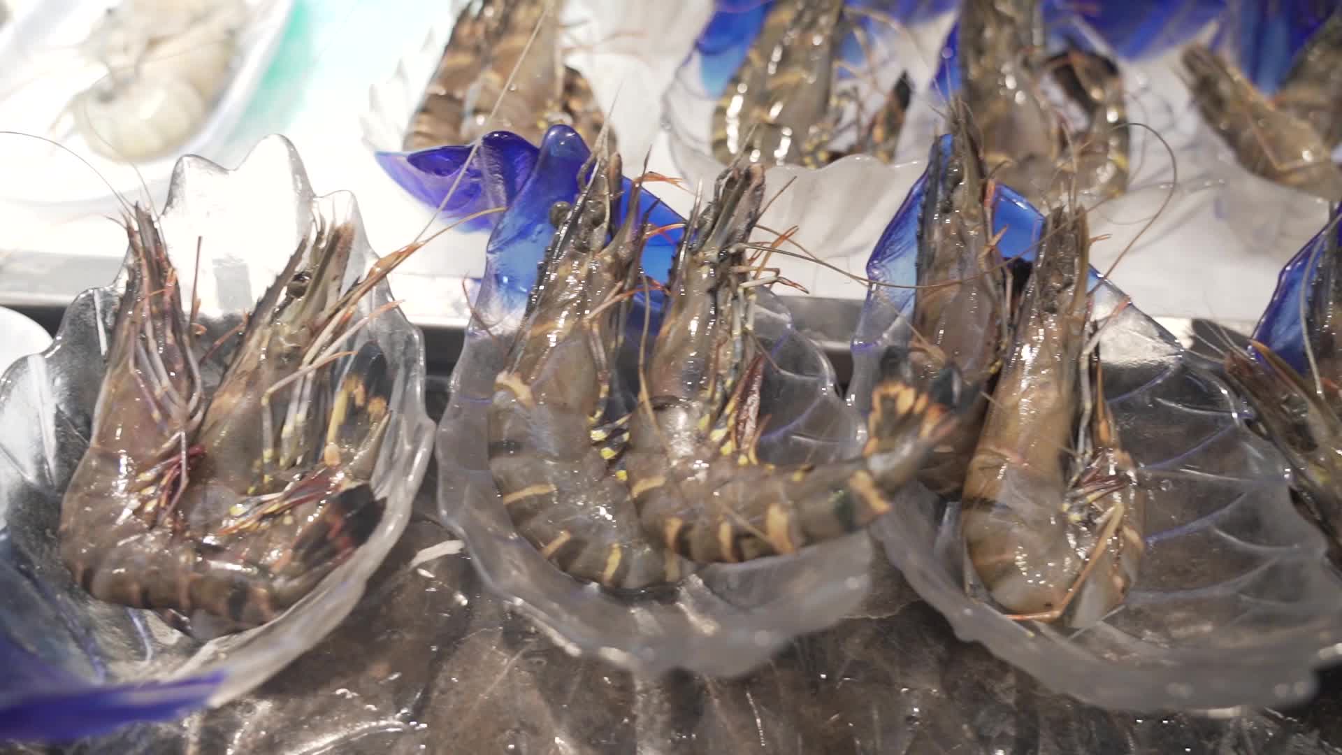 海鲜鳌虾视频的预览图