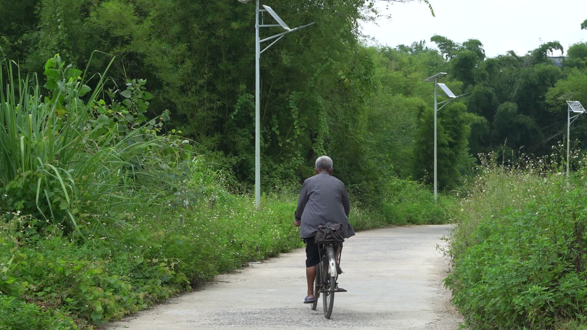 乡村道路老人骑自行车背影视频的预览图