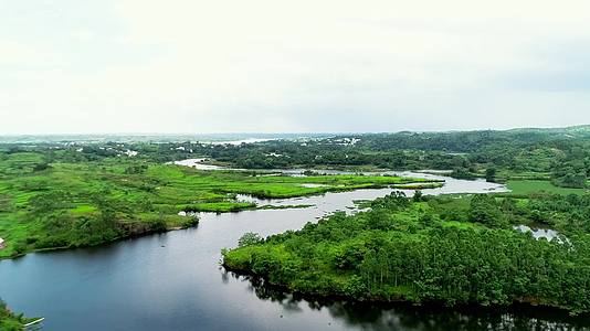 江南湿地河流湖泊邕江水系航拍视频的预览图