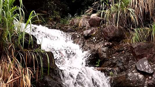 山间溪流升格镜头视频的预览图