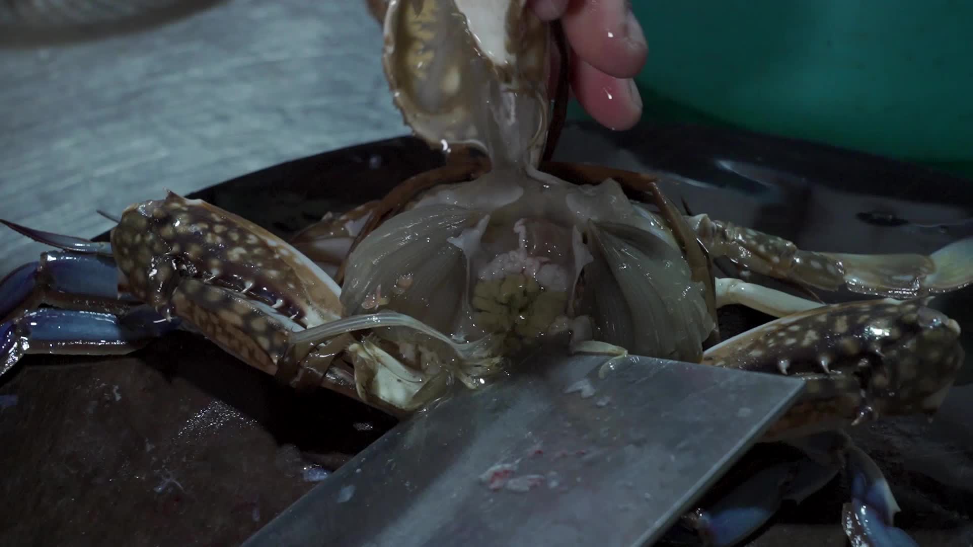 螃蟹螃蟹吃法海鲜视频的预览图