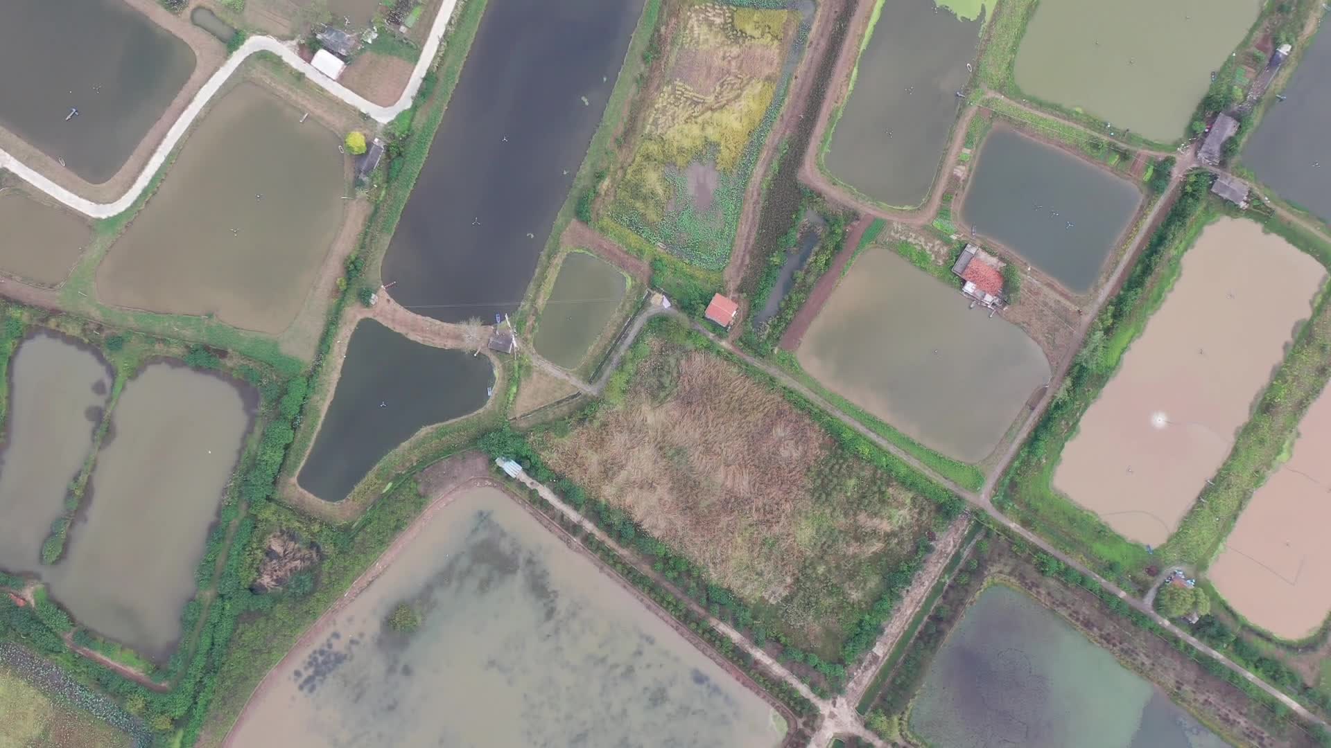 梁子湖大闸蟹养殖场航拍视频的预览图