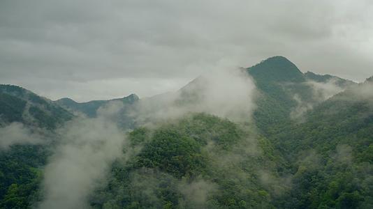4K大气航拍森林植被云雾缭绕视频的预览图