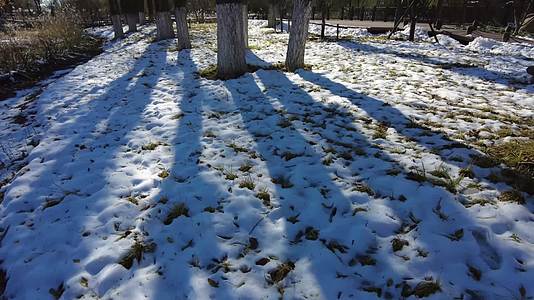 冬天的雪地上移动树影延时视频的预览图
