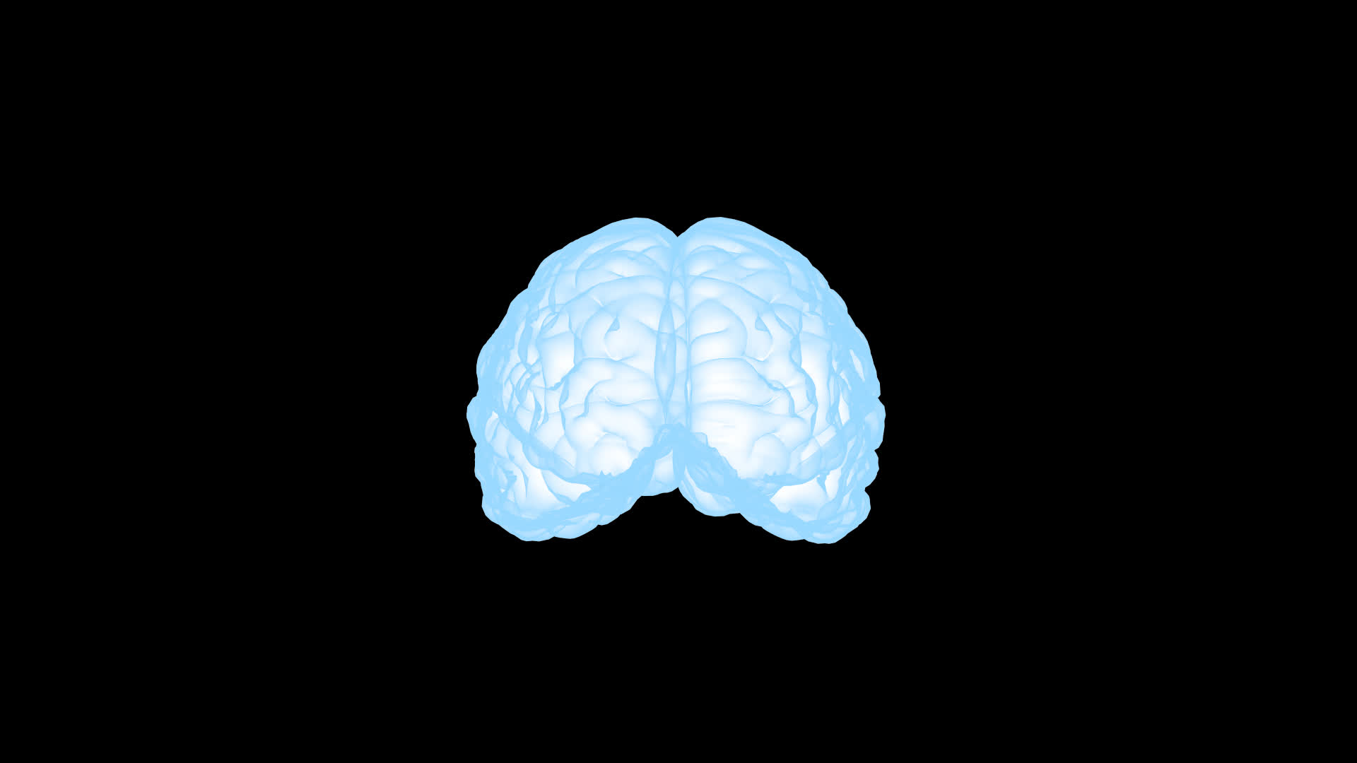 三维人体大脑动画视频的预览图