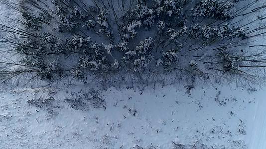 雪天果园树林田野航拍视频的预览图