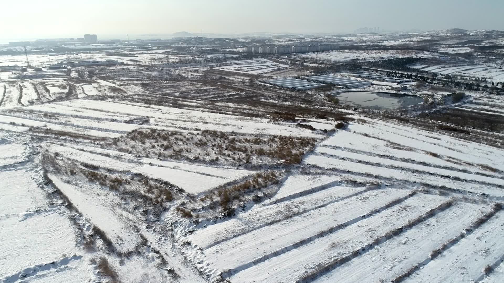 雪天田野上农业大棚航拍视频的预览图