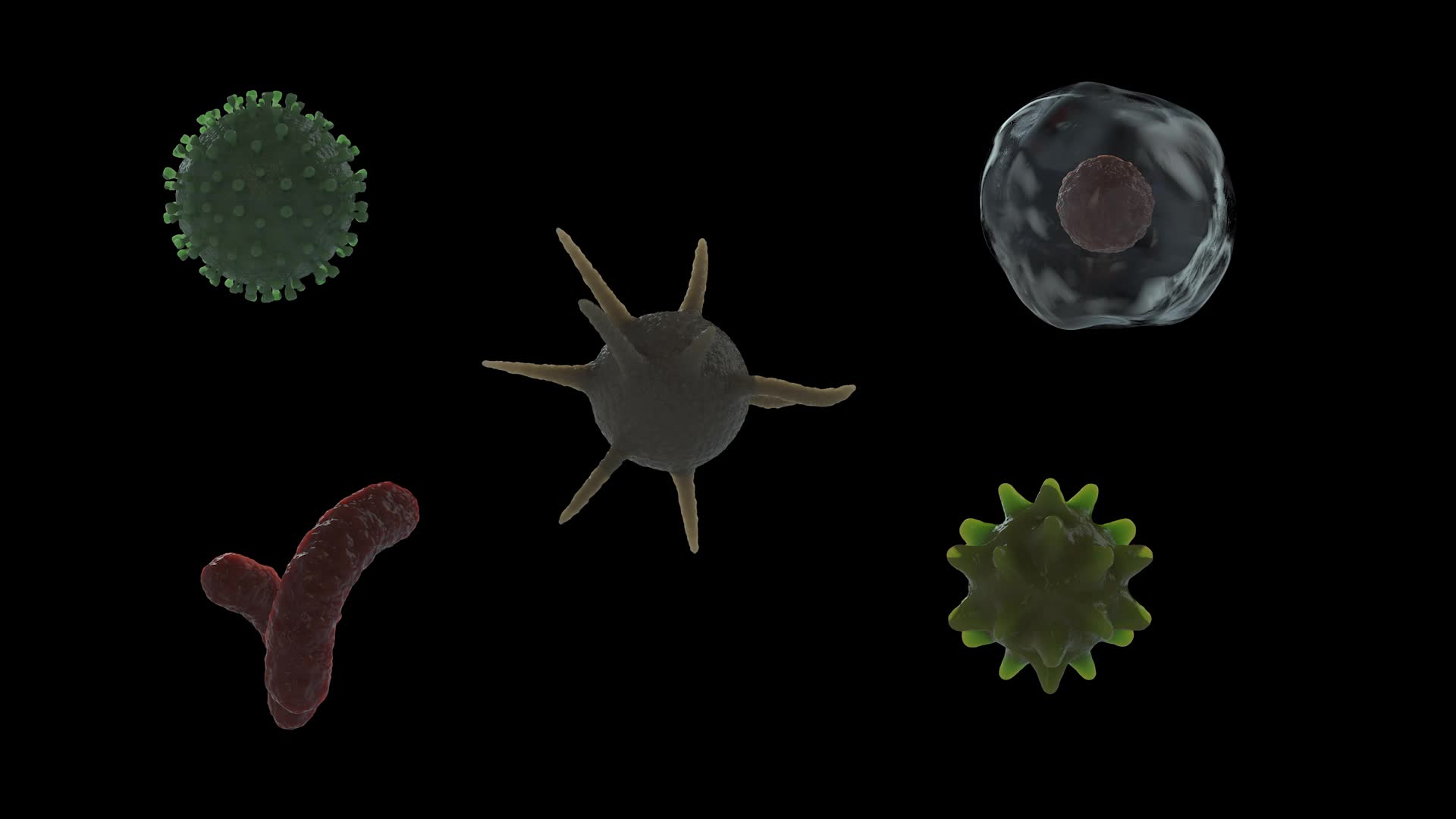 三维细菌病毒微生物三维动画包带透明通道视频的预览图
