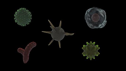 三维细菌病毒微生物三维动画包带透明通道视频的预览图
