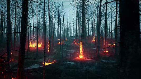 森林火灾三维建模视频的预览图