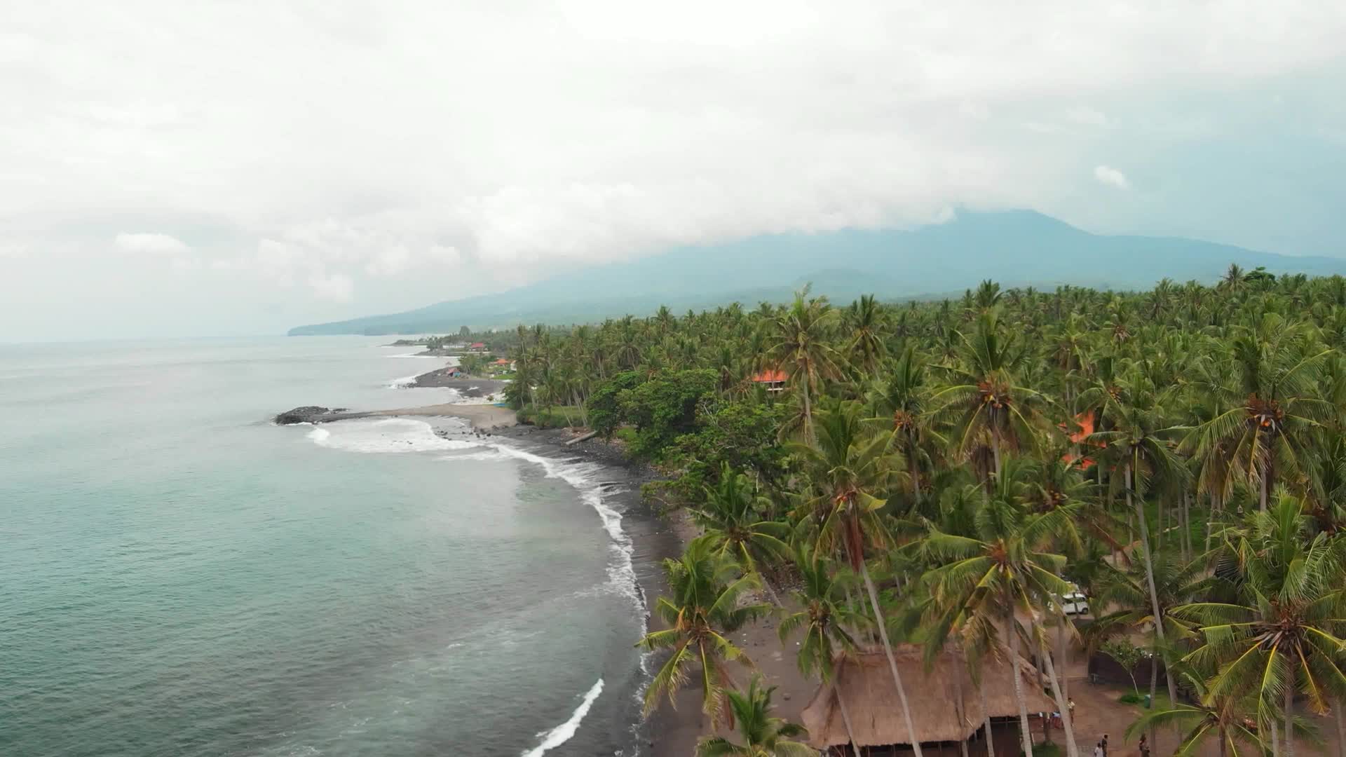 4k高清航拍海岸沿线浪花椰林风光视频的预览图