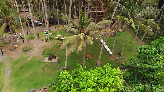 4k高清航拍海岸沿线椰林风光视频的预览图