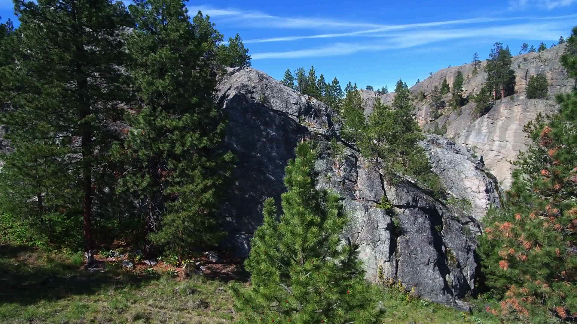 4k高清拍摄岩石松树视频的预览图