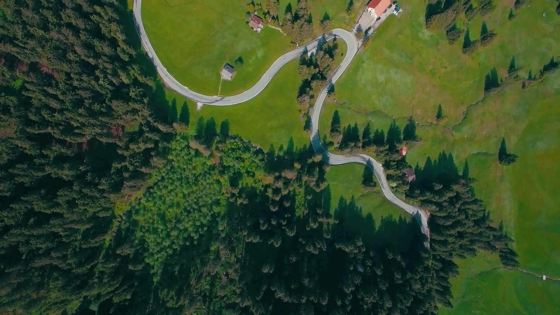 高清航拍森林树木道路房屋视频的预览图
