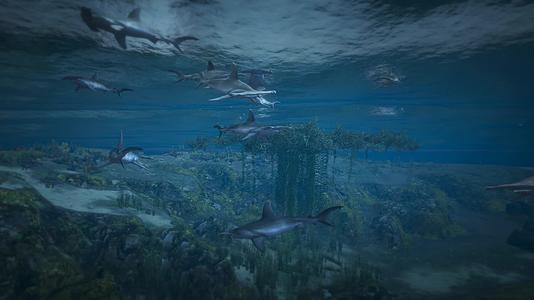 海洋海底鲨鱼群沉浸场景视频的预览图