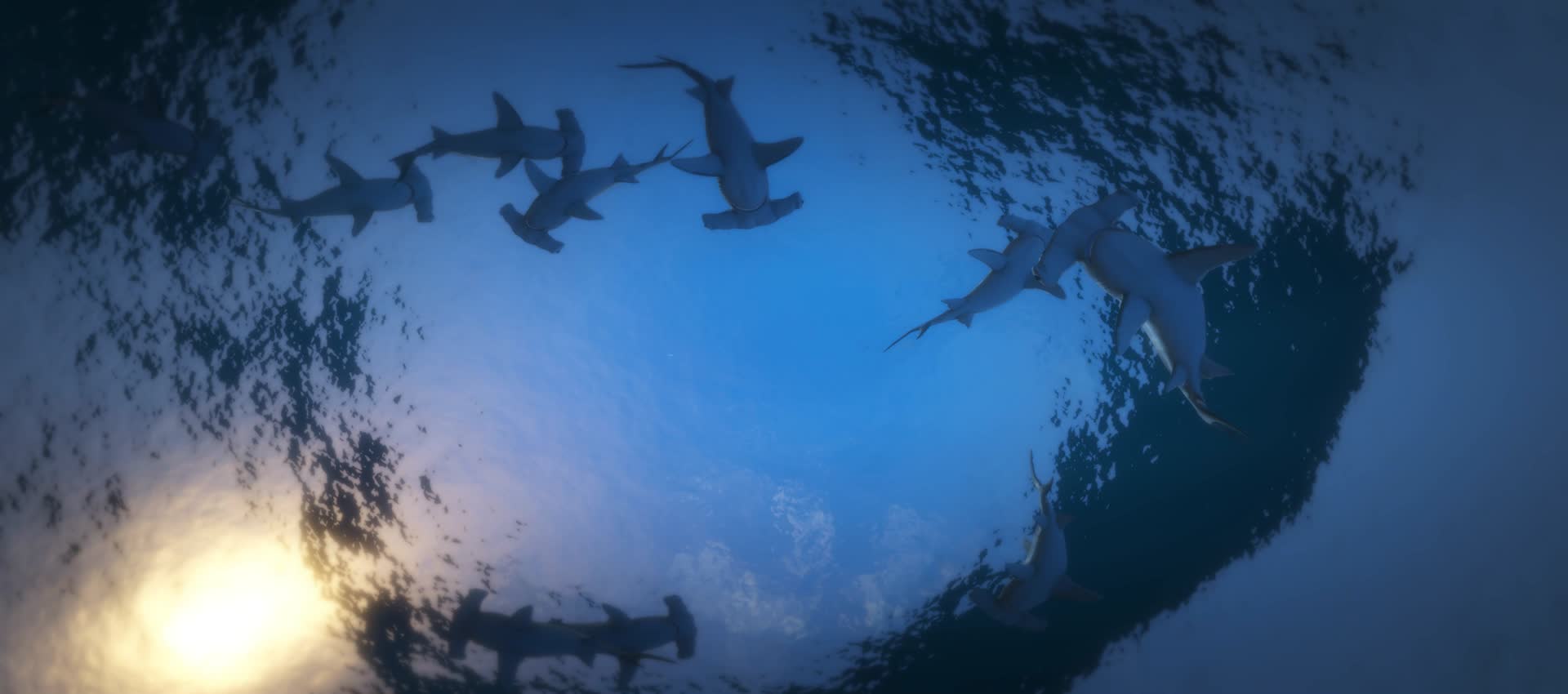 宽屏海底世界鲨鱼天幕投影视频的预览图