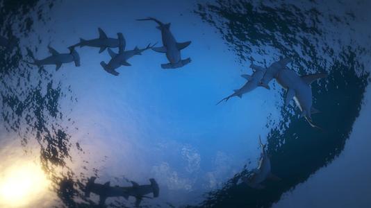 宽屏海底世界鲨鱼天幕投影视频的预览图