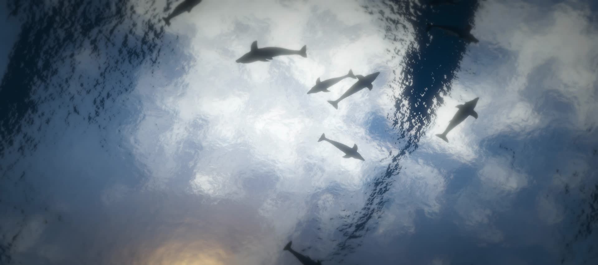 海洋宽屏海底世界海豚天幕投影视频的预览图