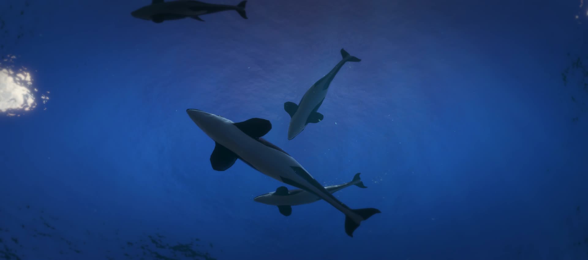 宽屏海底世界海豚群天幕投影视频的预览图