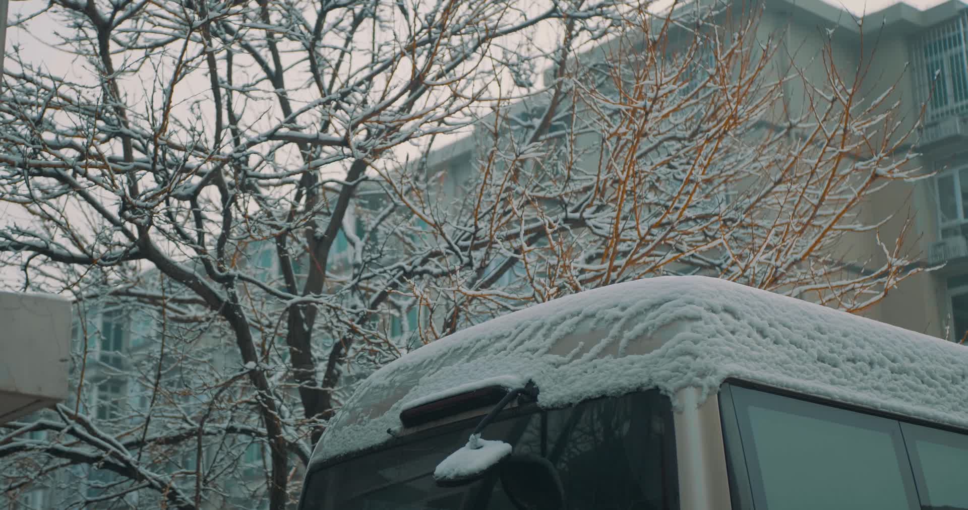 实拍4k下雪积雪公交车外雪景视频的预览图