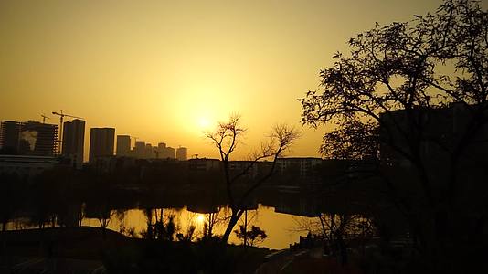 城市早晨公园老人晨练早晨的太阳视频的预览图