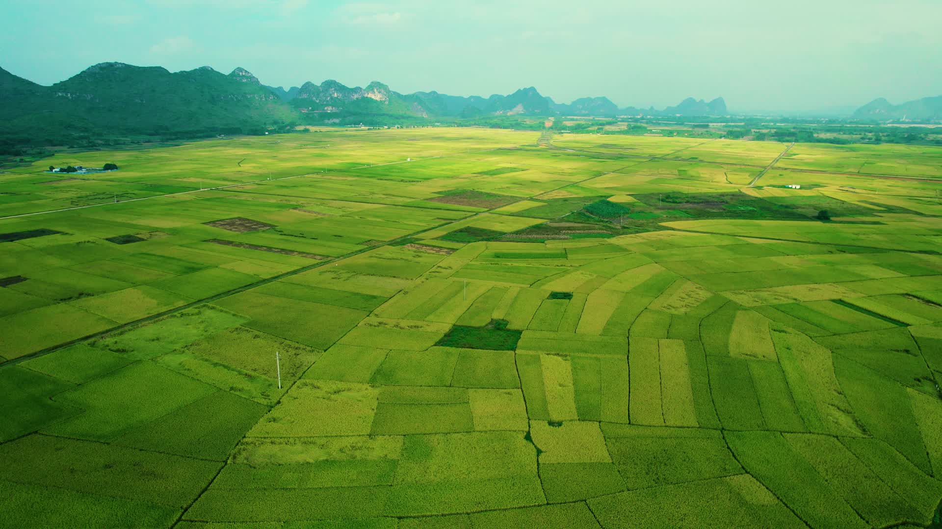 高空航拍乡村绿色农业稻田麦田视频的预览图