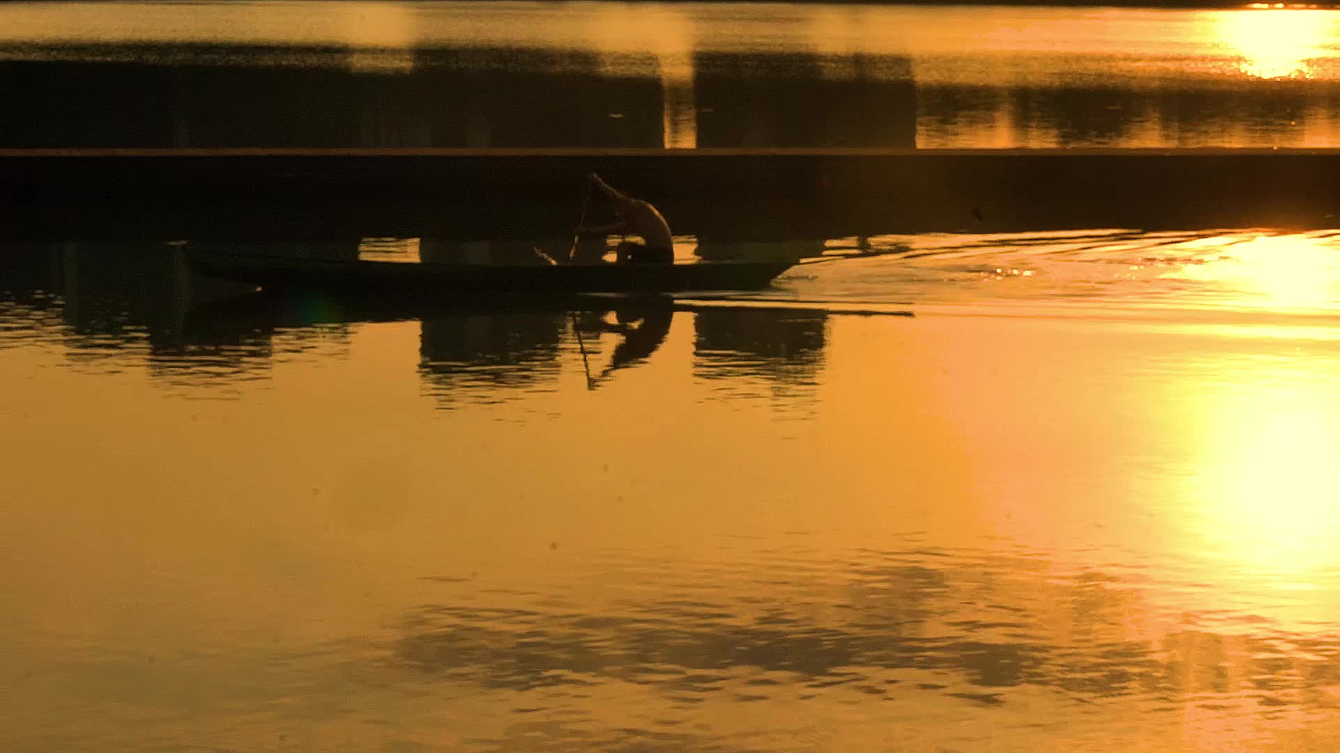 日出时分龙舟运动员划船训练视频的预览图