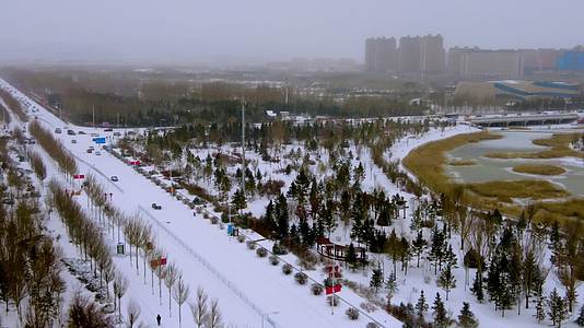 北方城市下雪情景雪花飞舞中的街道4k拍摄视频视频的预览图