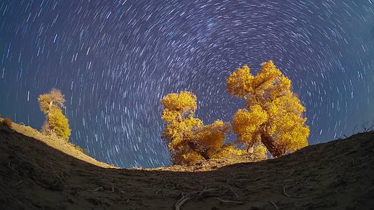夜晚新疆胡杨树星空星轨延时视频的预览图