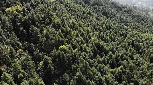 南方乡村山脉绿色树林森林航拍视频的预览图