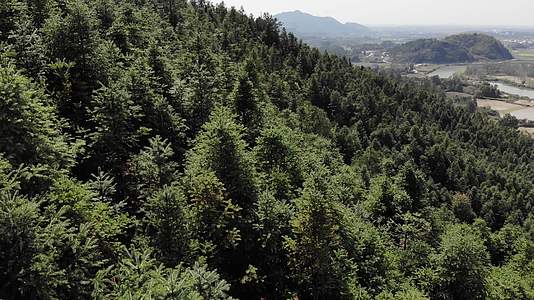 4K南方乡村山脉绿色树林森林航拍视频的预览图