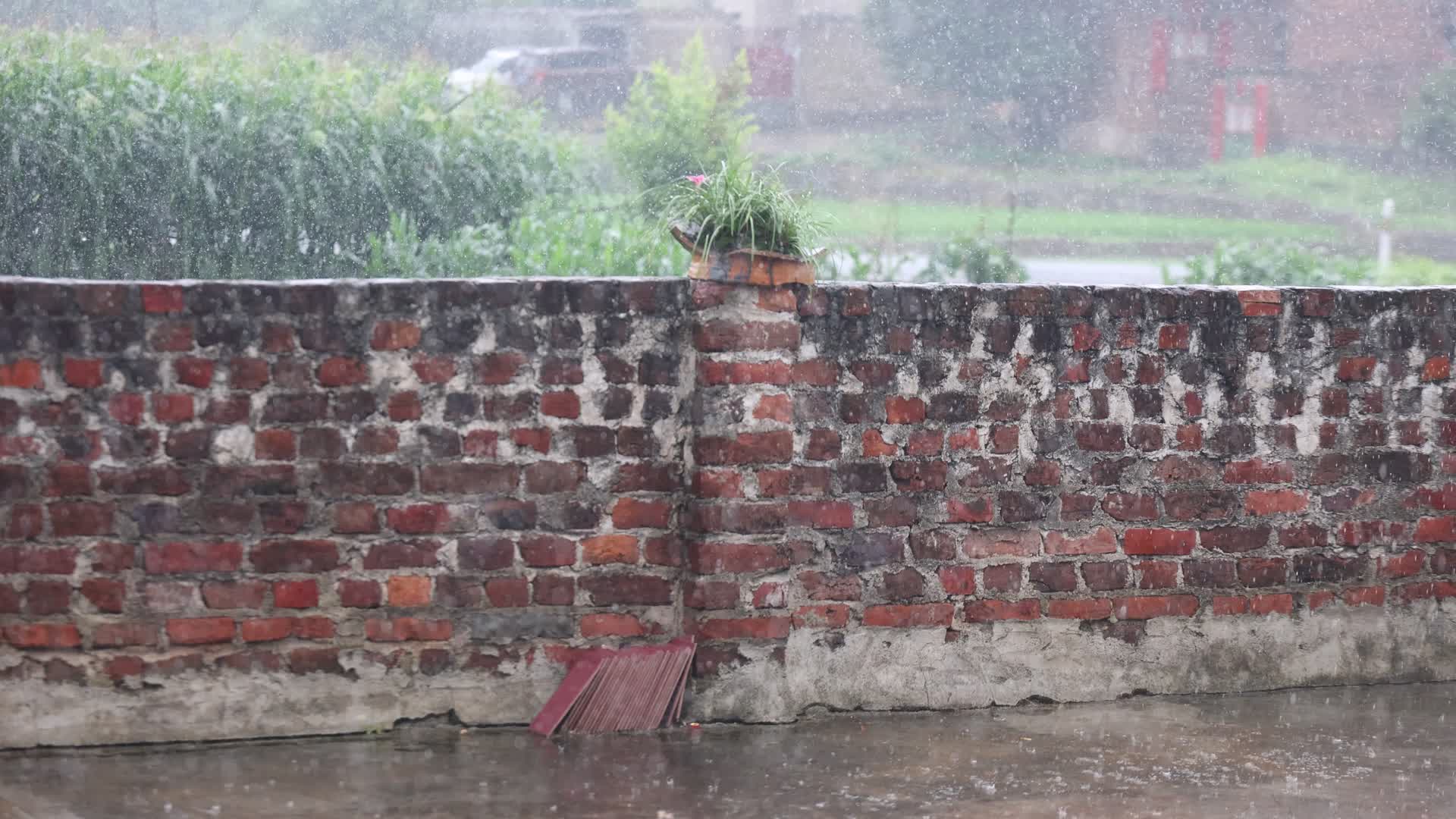 乡村阴雨视频的预览图