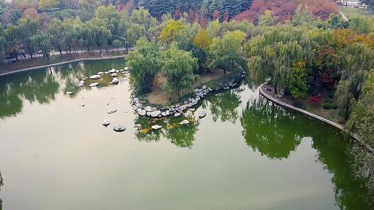 城市人文景观公园湖水航拍视频的预览图