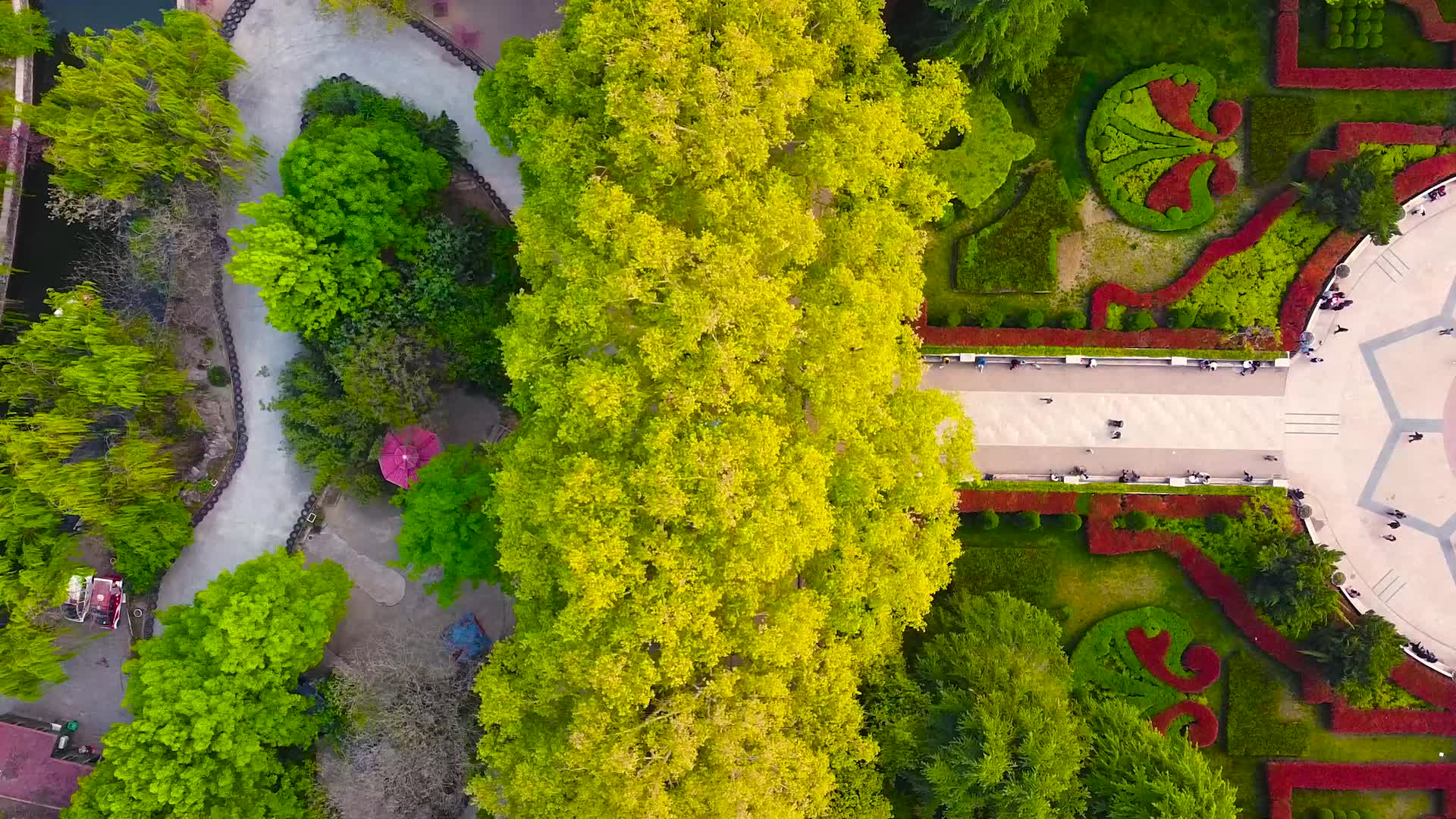 航拍俯瞰郑州人民公园南广场视频的预览图