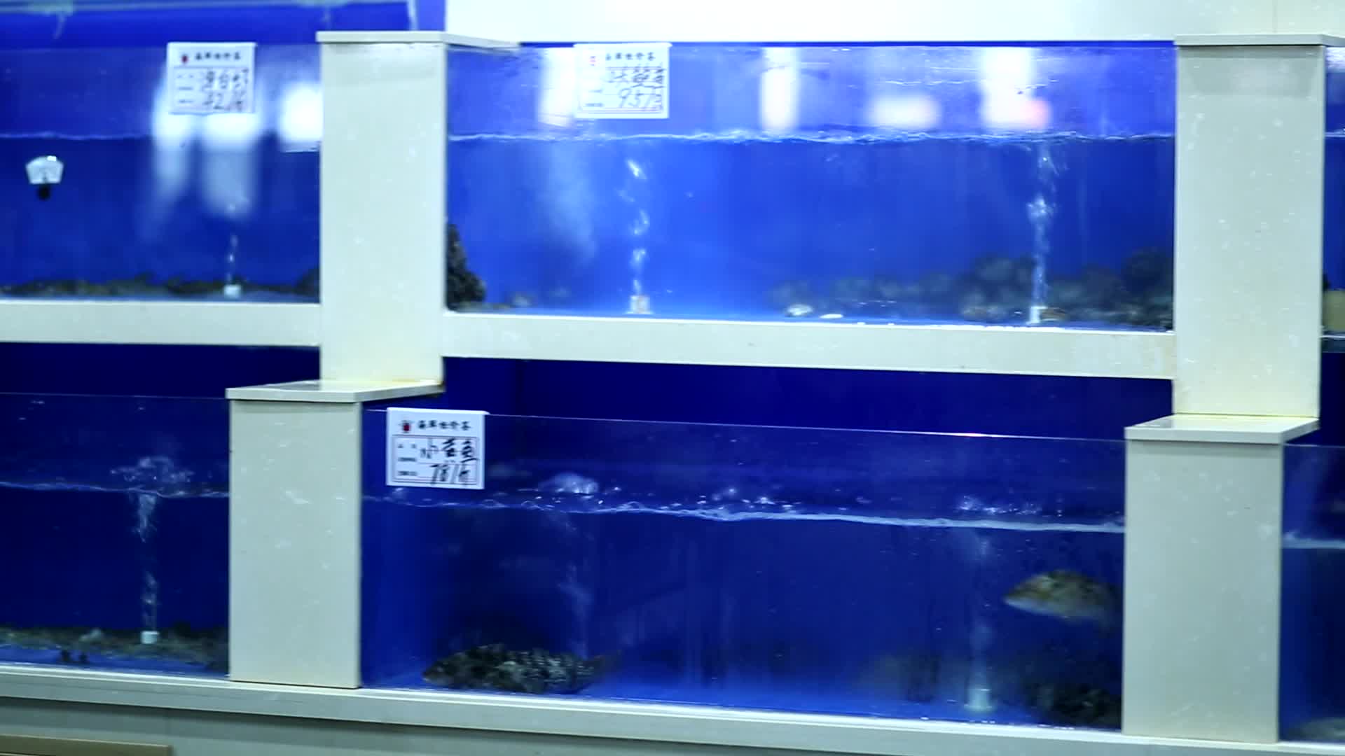 海鲜市场海鲜鱼类展示视频的预览图