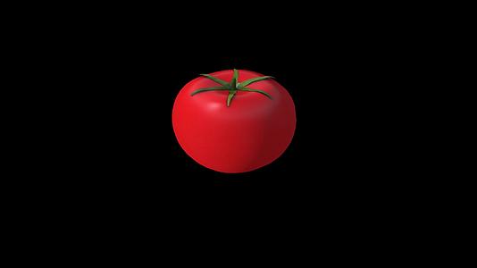 三维西红柿切开慢镜头ae模板视频的预览图