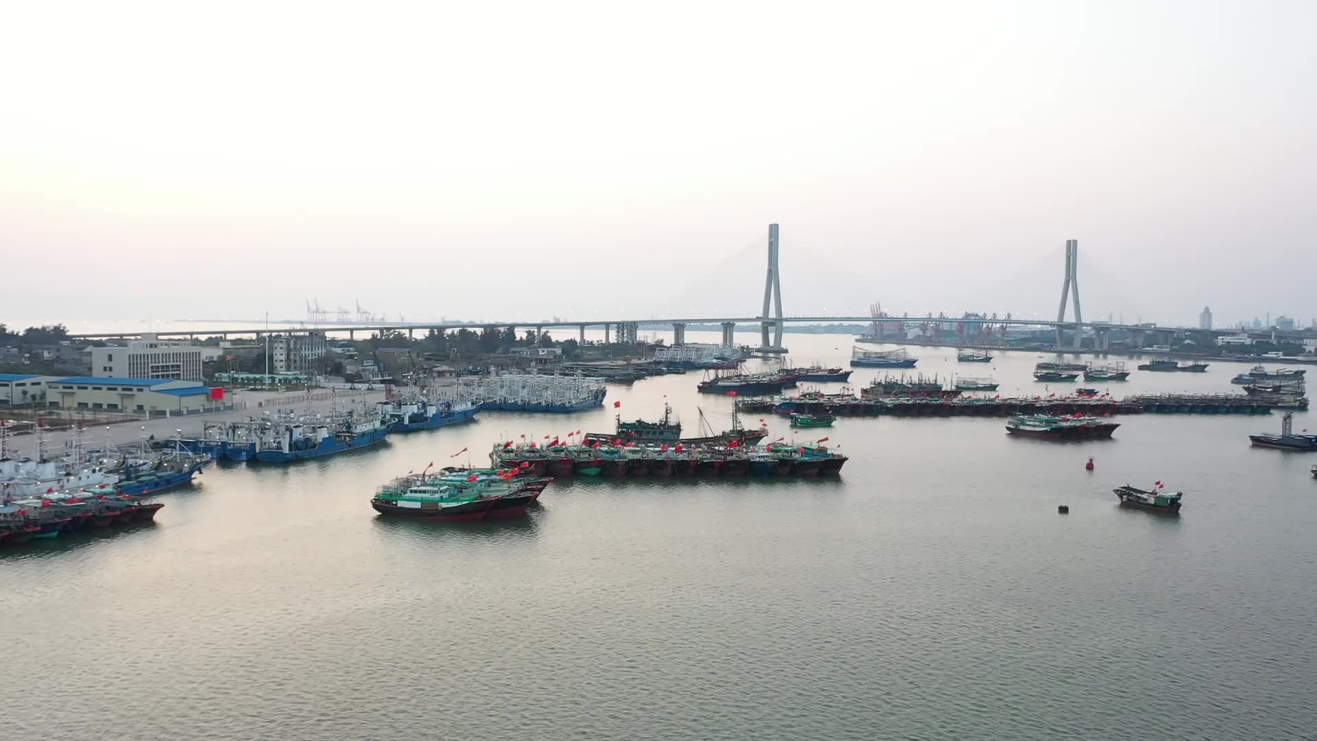洋浦港渔船视频的预览图